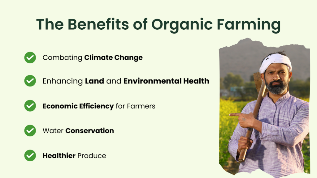 The Benefits of Organic Farming