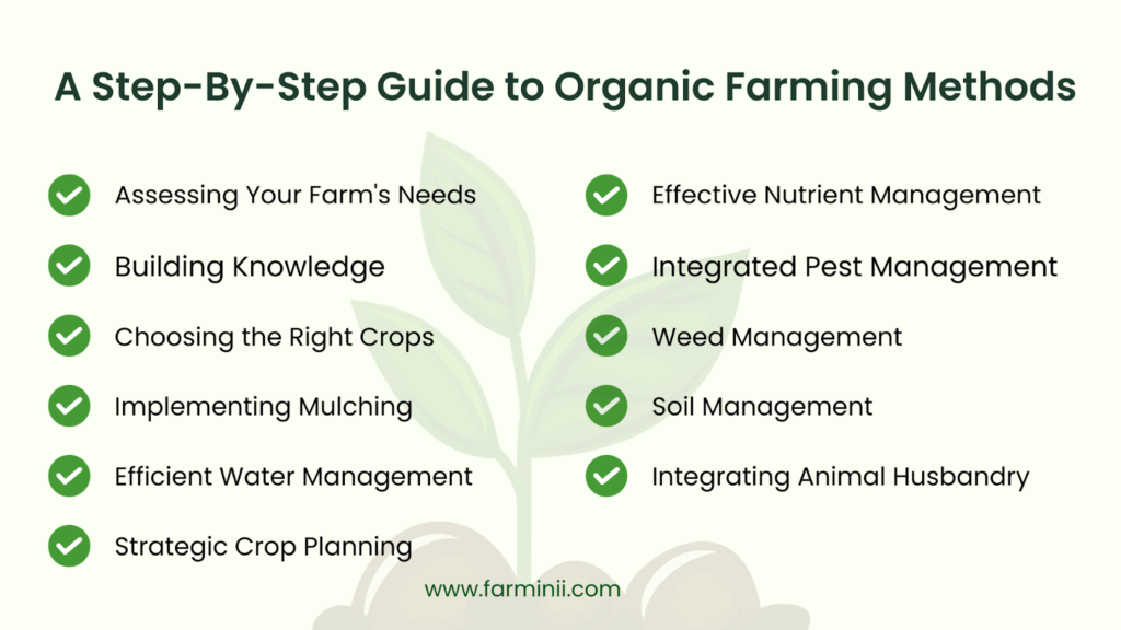 A Step-By-Step Guide to Organic Farming Methods