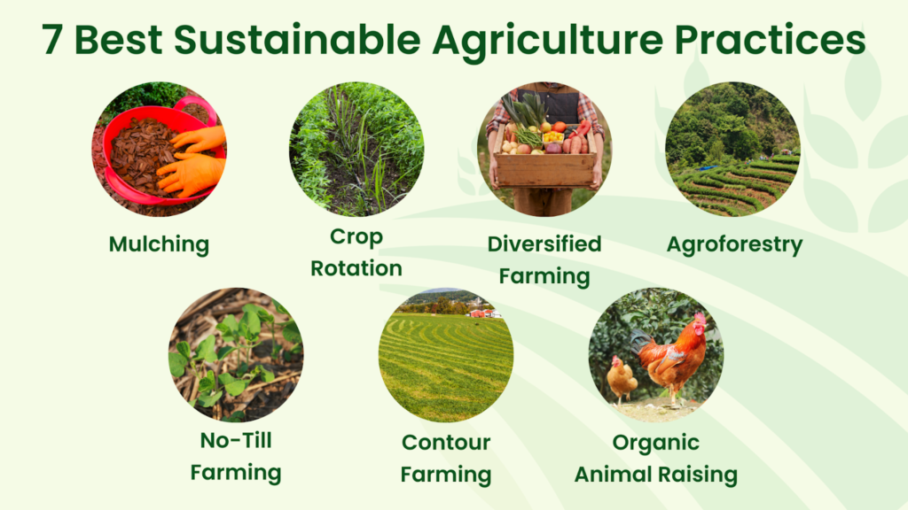 7 Best Sustainable Agriculture Practices