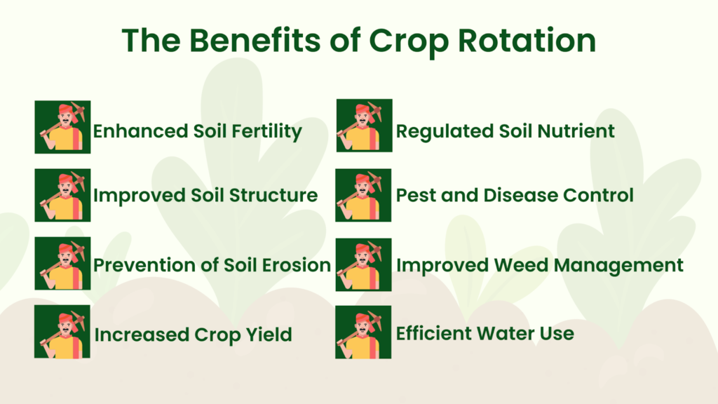 The Benefits of Crop Rotation